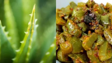 aloe vera sabzi recipe