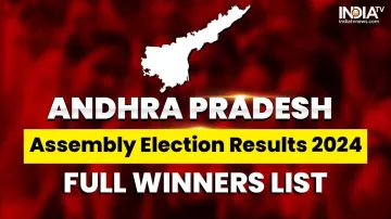 Andhra Assembly Elections 2024