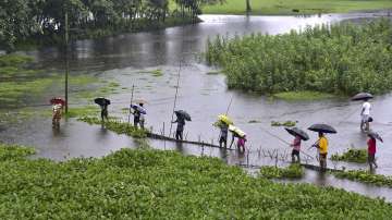 Assam continues to reel under severe floods.
