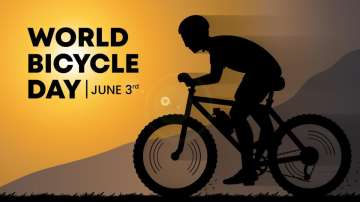 World Bicycle Day 2024