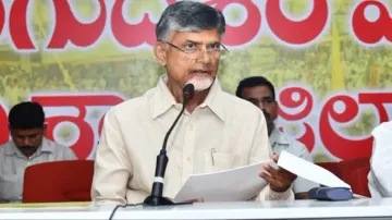 Chandrababu Naidu, tdp