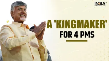 TDP chief Chandrababu Naidu