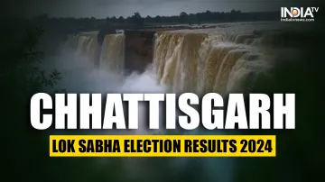 Lok Sabha elections results 2024