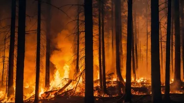 Uttarakhand, forest fire, Uttarakhand forest fire, Pushkar Singh Dhami