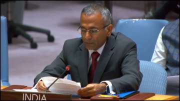 R Ravindra, Chargé d'Affaires and Deputy Permanent Representative of India to the UN