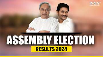 Assembly Election Results 2024 LIVE