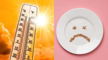 Know how to restore lost appetite due to a heatwave