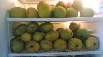 mangoe storage