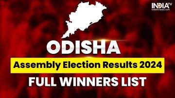 Odisha Assembly Elections 2024