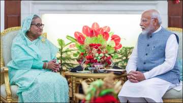 PM modi meets Sheikh Hasina