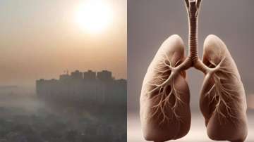 Poor air quality impacts lung health