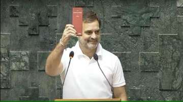 Rahul Gandhi named Leader of Opposition in Lok Sabha