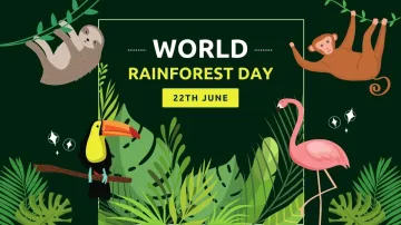 World Rainforests Day