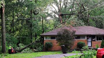 Workers remove parts of trees at a home on Hubbard Street after a storm in Livonia