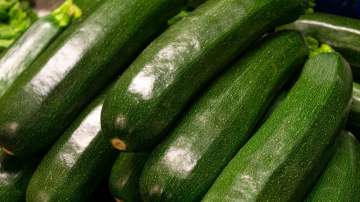 Zucchini