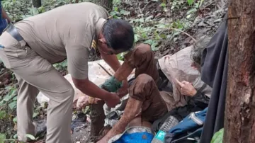 A 50-year-old woman was found in a forest tied to a tree with an iron chain. 