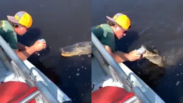 Florida man alligator beer