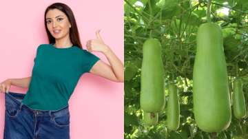 Add bottle gourd to your diet to lose weight fast