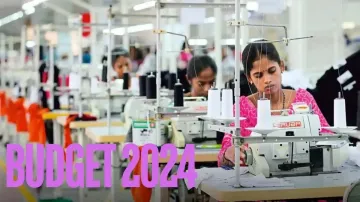 Budget 2024, MSMEs