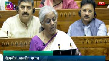 Nirmala Sitharaman, Budget 2024