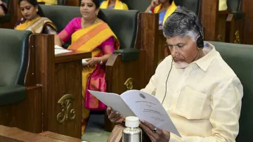 Telugu Desam Party chief and Andhra Pradesh Chief Minister Chandrababu Naidu