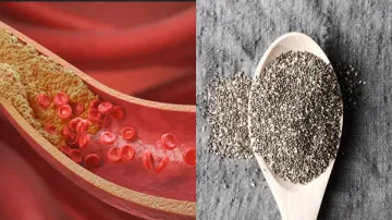 Chia seed to lower cholesterol level