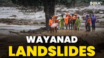 Wayanad landslides