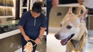 Mumbai woman buys gold chain worth Rs 2.5 lakh for dog