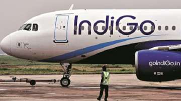 Indigo plane