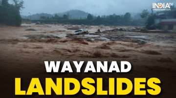 Wayanad Landslides