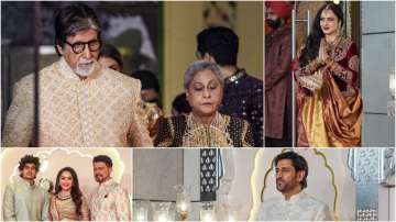 Anant Ambani-Radhika Merchant Wedding