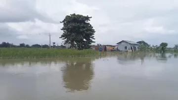 Assam floods