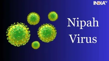 Nipah virus, Kerala 