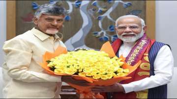 PM Modi-Chandrababu Naidu