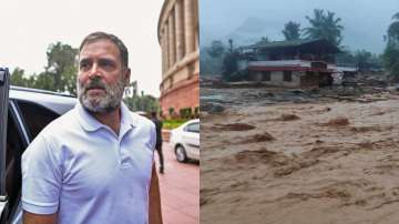 Wayanad landslides, Rahul Gandhi 