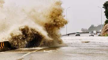 Typhoon Gaemi trigger flash floods in northeast China