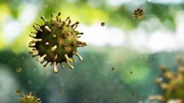 Chandipura virus, Chandipura virus cases, Chandipura virus deaths, Chandipura virus Gujarat 