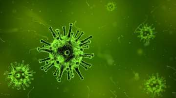 Chandipura virus outbreak in Gujarat