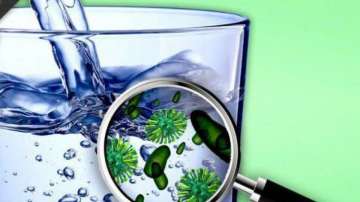 Symptoms and prevention tips for water-borne diseases