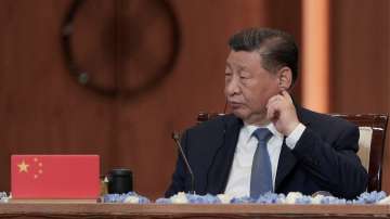 Xi Jinping, China economy, Chinese economy slows down