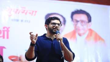 Maharashtra Assembly polls, Maharashtra Assembly polls 2024, Maharashtra Navnirman Sena, MNS likely 