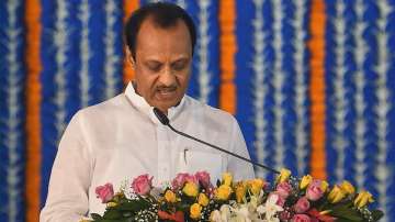 Ajit Pawar apologises for collapse of Shivaji Maharaj statue