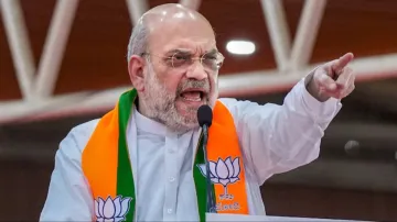 Amit Shah, Article 370