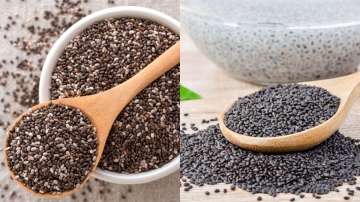 Chia Seeds vs Basil Seeds