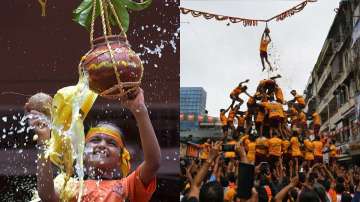 Dahi Handi celebrations