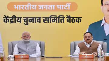 PM Modi, BJP poll body meeting, jammu kashmir candidates finalisation, Jammu Kashmir Assembly Electi