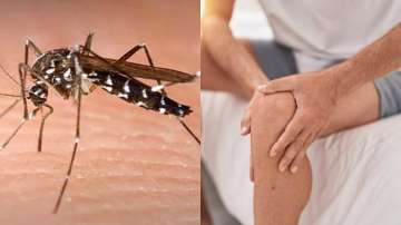 Chikungunya can lead to arthritis