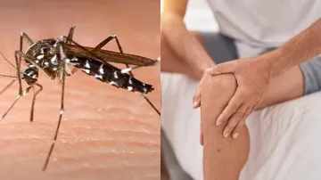 Chikungunya can lead to arthritis