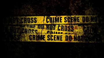 Delhi crime news, 35 year old woman killed by her two brothers in delhi, man murdered his sister ove