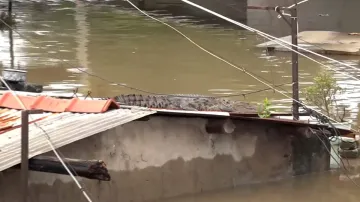 Gujarat rains